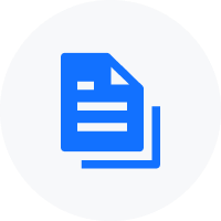 Comprehensive Reg A Filing Support