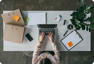 Overhead view of person typing on laptop at a bright desk with files, a plant, and papers, optimized for edgar filing